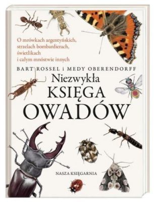  Viszcza - Zwierzę Lśniące Mądrością i Wykazujące Niezwykłą Zręczność w Łowieniu Owadów!