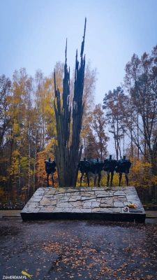  Wzgórze Korali - Żywe Pomniki Znaków I Symboli Różnorodności!